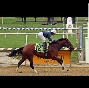 Meet your Posher, Karen